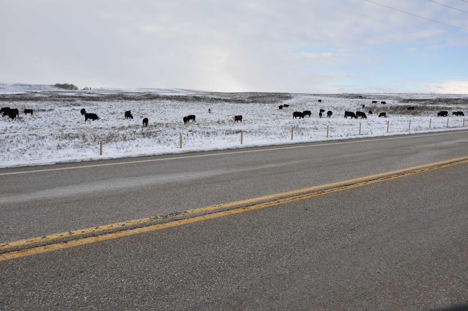 Range Road 14 Big Hill Springs  