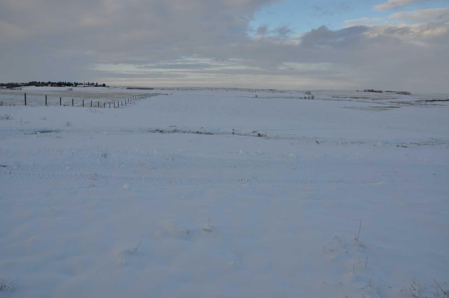 Range Road 14 Big Hill Springs  