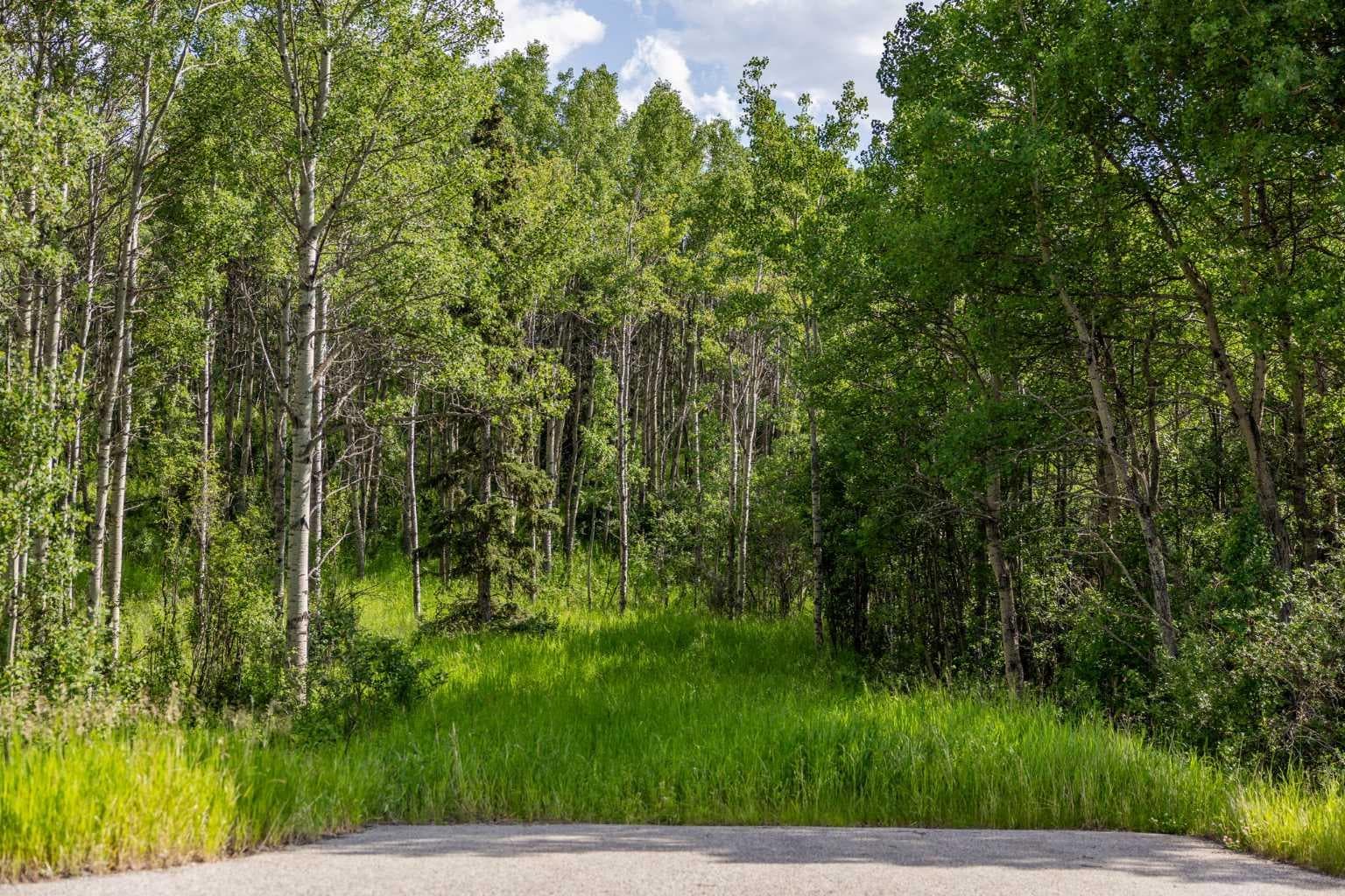 25151 Escarpment Ridge View 