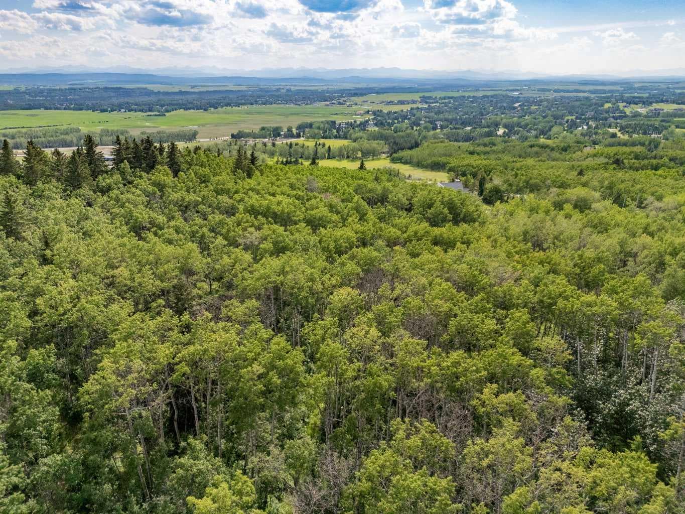 25151 Escarpment Ridge View 