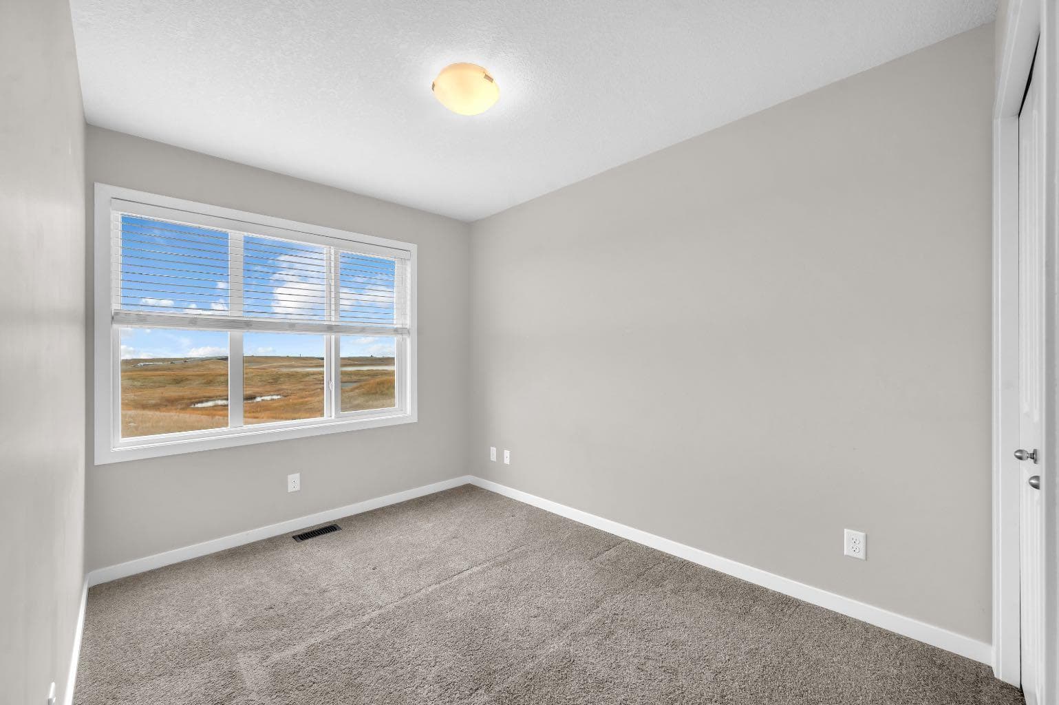 50 Copperstone Common SE