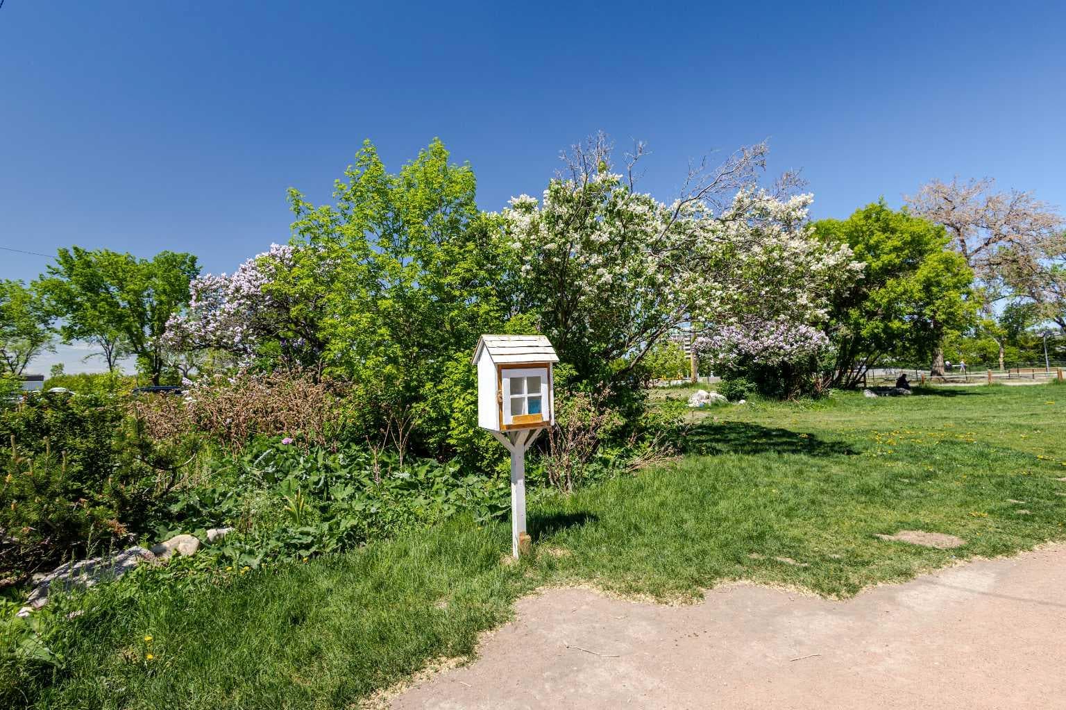1003, 1025 5 Avenue SW
