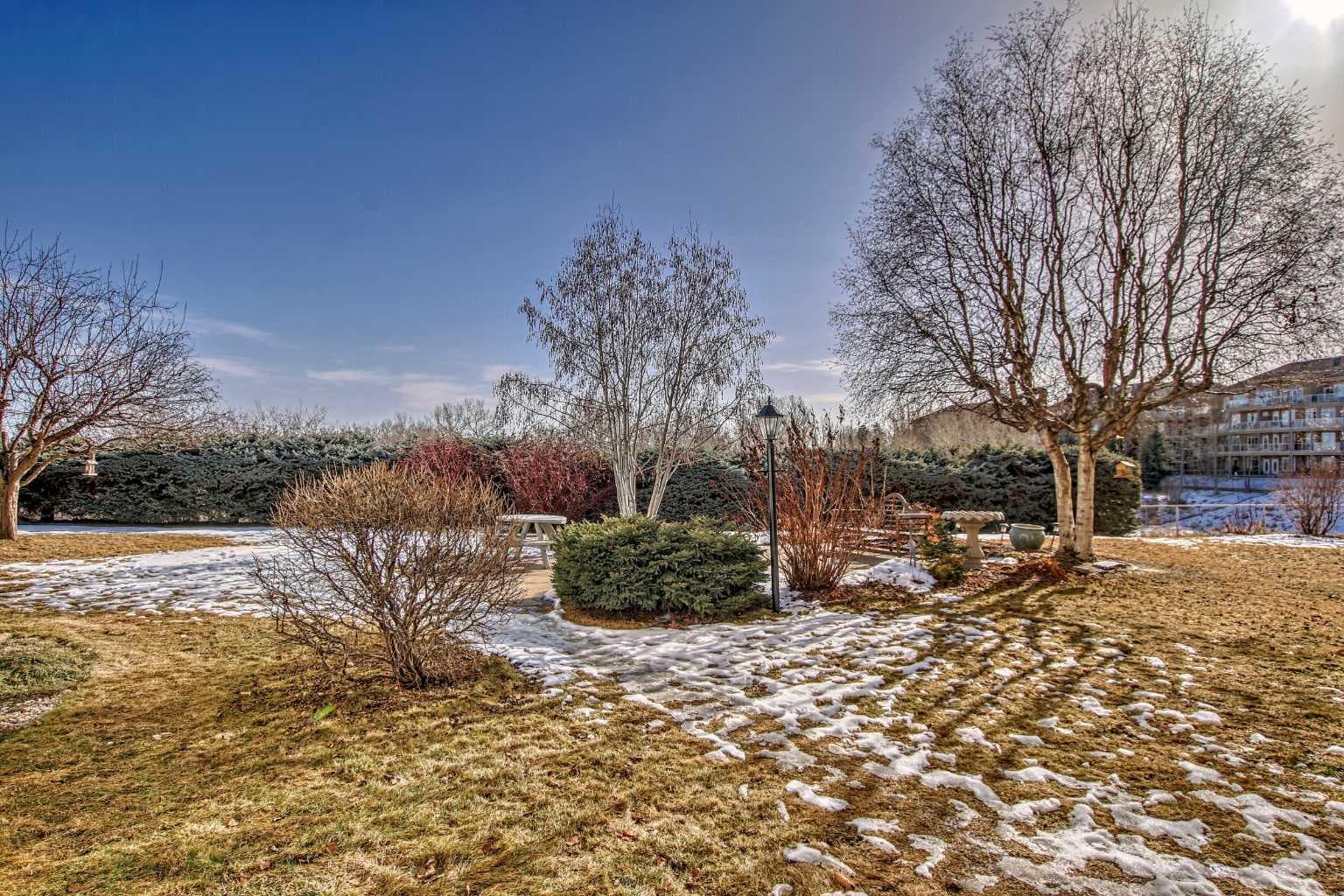 202, 520 Cedar Crescent SW