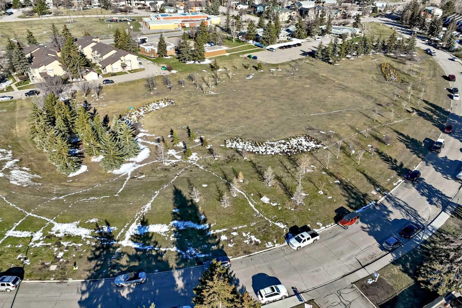 202, 520 Cedar Crescent SW