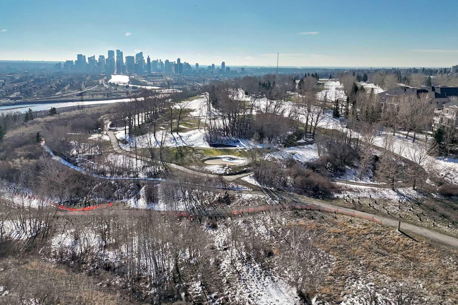 202, 520 Cedar Crescent SW