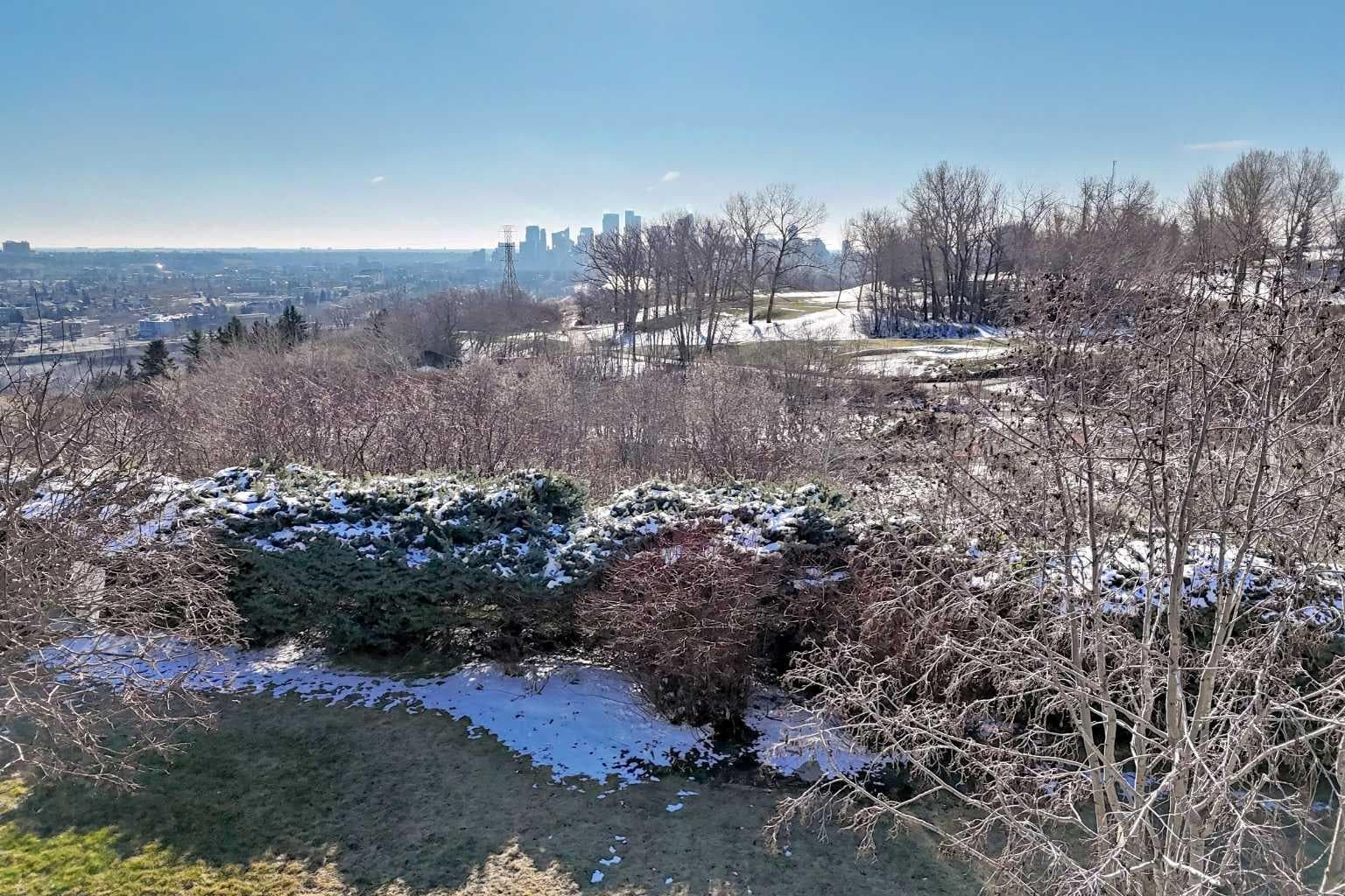 202, 520 Cedar Crescent SW