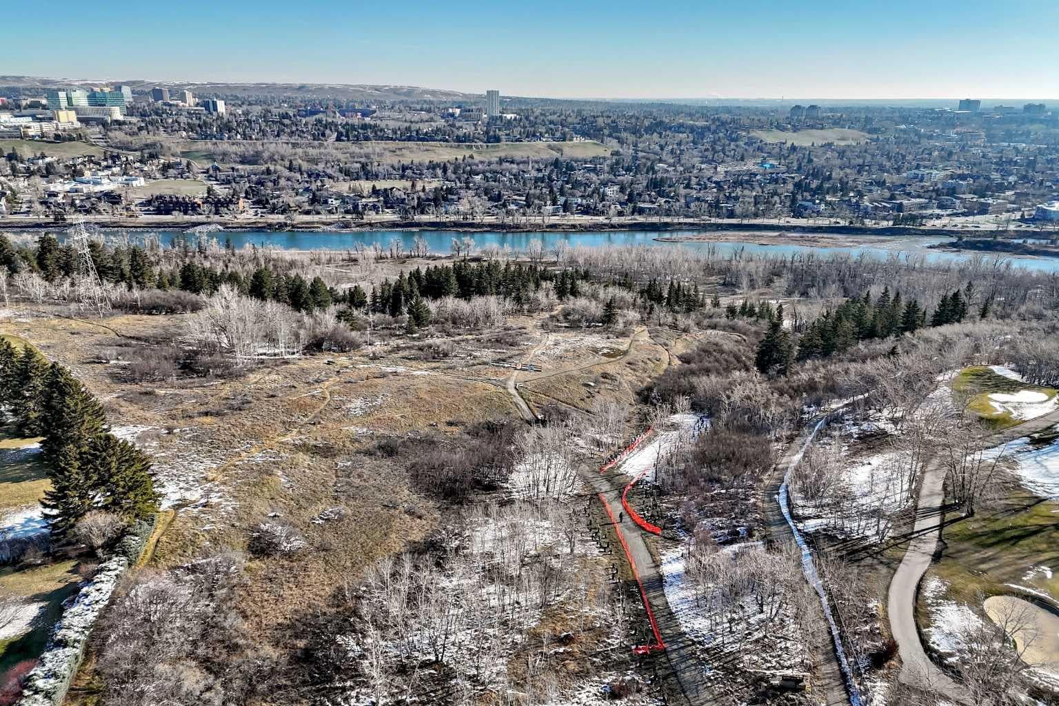 202, 520 Cedar Crescent SW