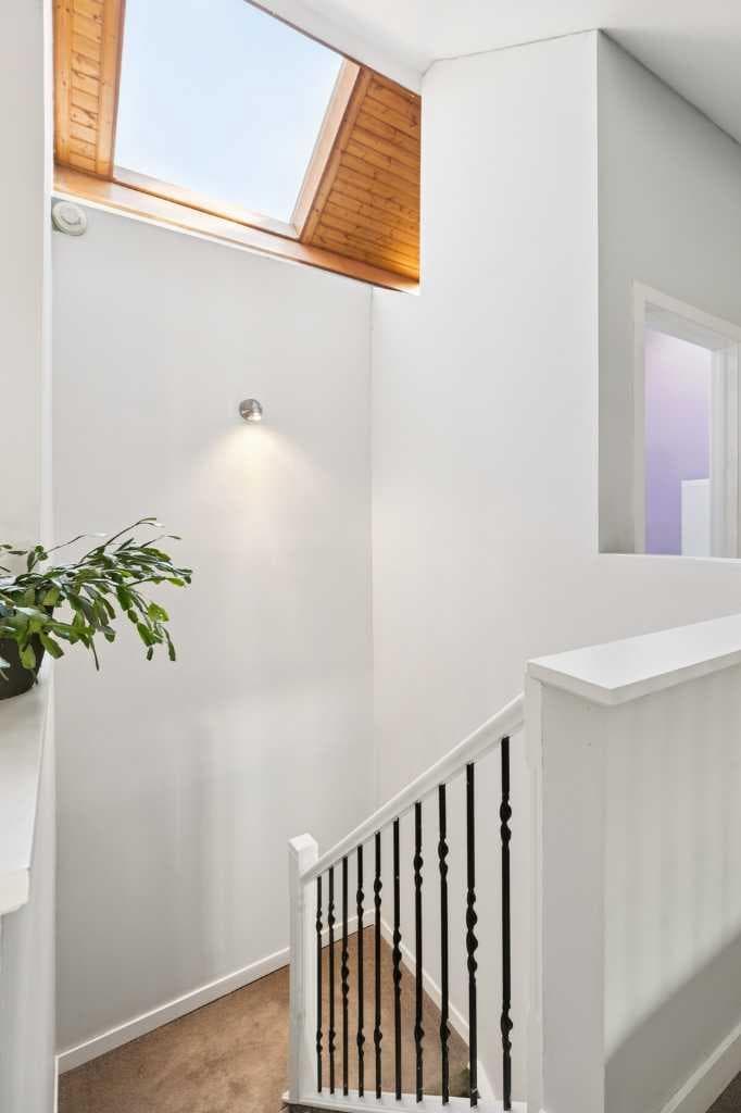 241 Mountain Lion Drive 