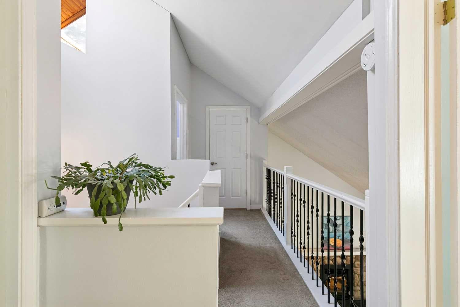 241 Mountain Lion Drive 