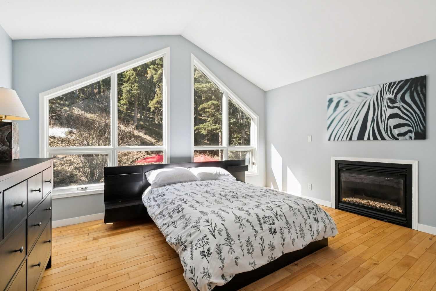 241 Mountain Lion Drive 