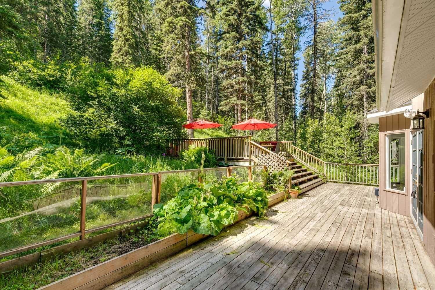 241 Mountain Lion Drive 