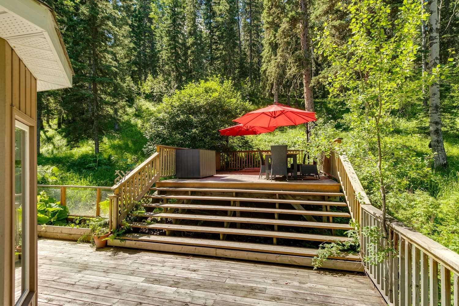241 Mountain Lion Drive 
