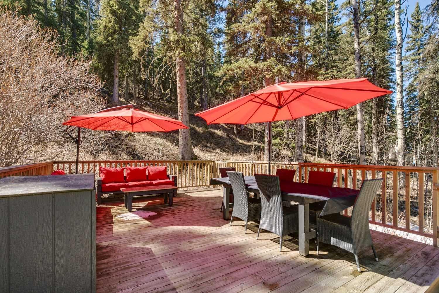 241 Mountain Lion Drive 