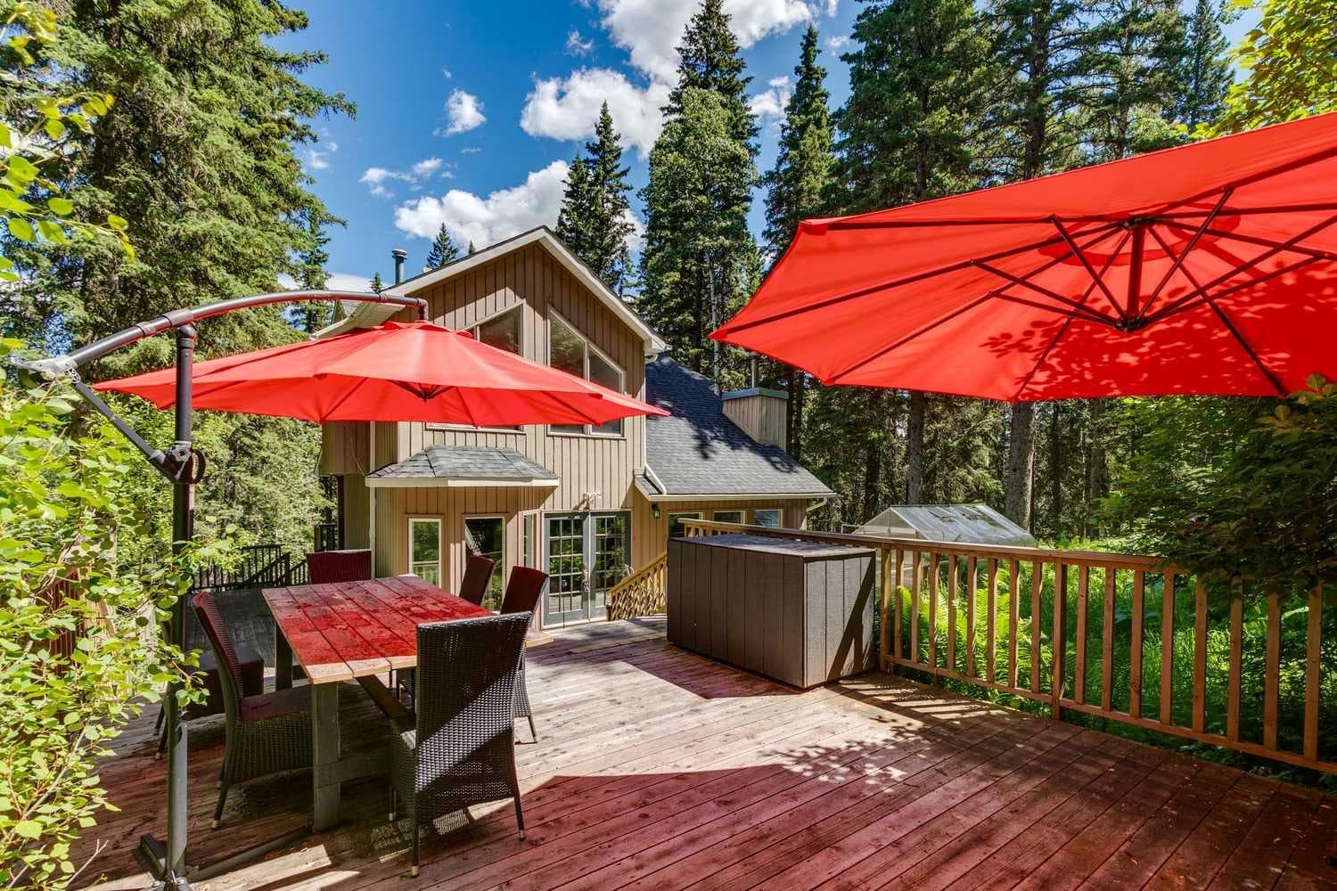 241 Mountain Lion Drive 