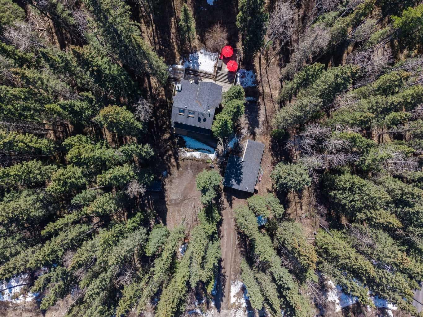 241 Mountain Lion Drive 