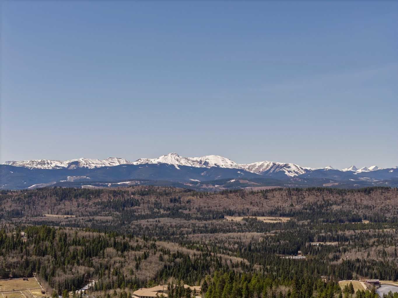 241 Mountain Lion Drive 