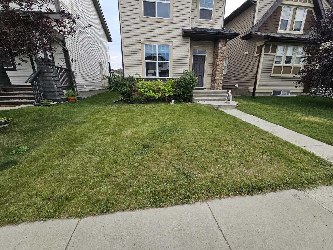 173 Skyview Springs Crescent NE