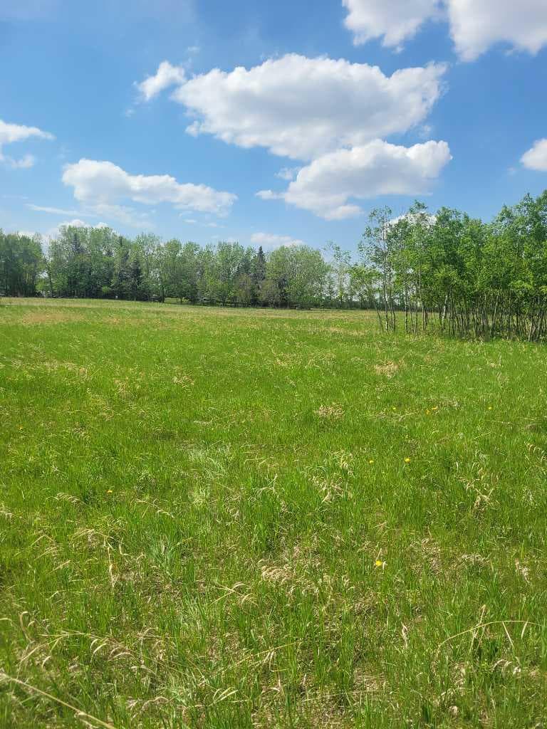 24166 Old Banff Coach Road 