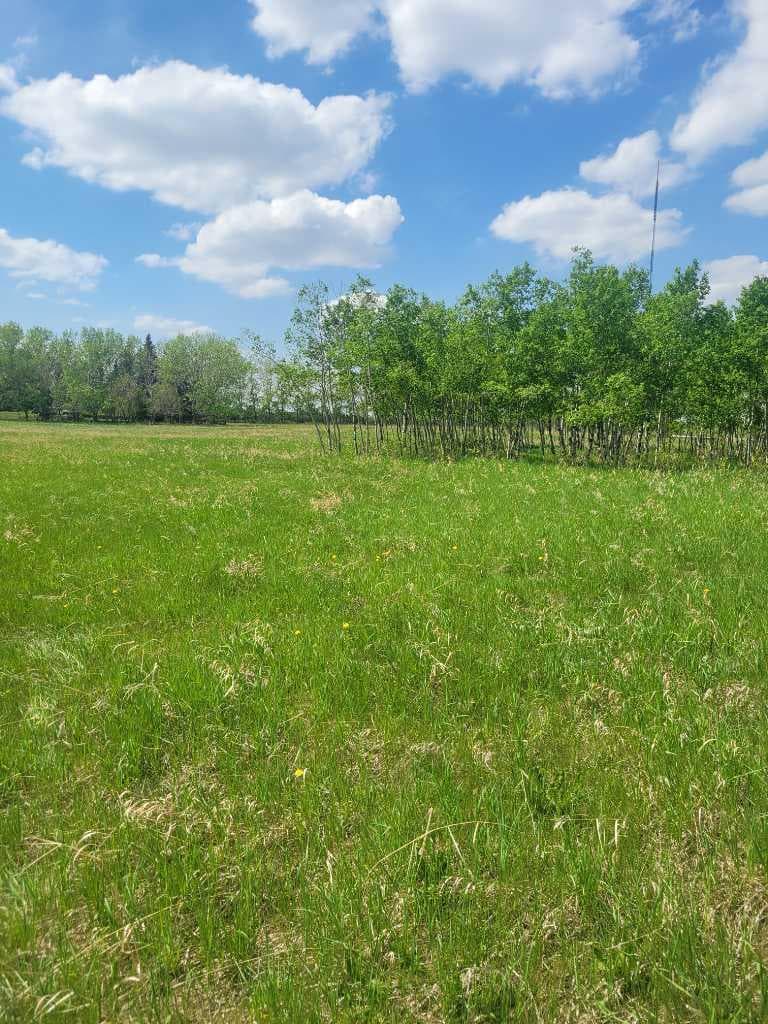 24166 Old Banff Coach Road 