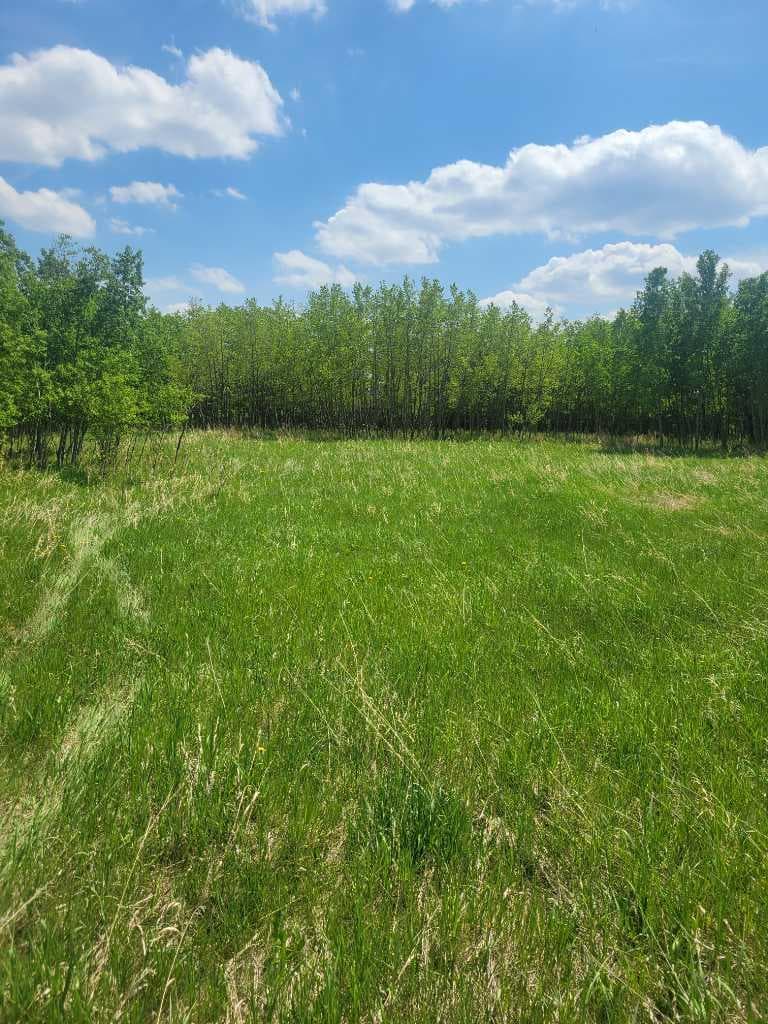 24166 Old Banff Coach Road 