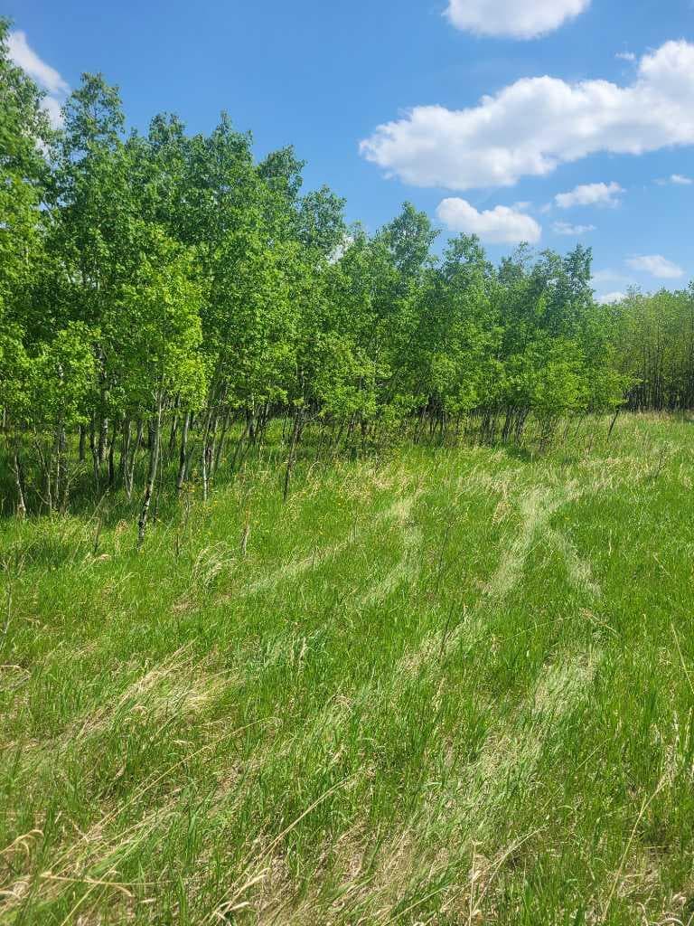 24166 Old Banff Coach Road 