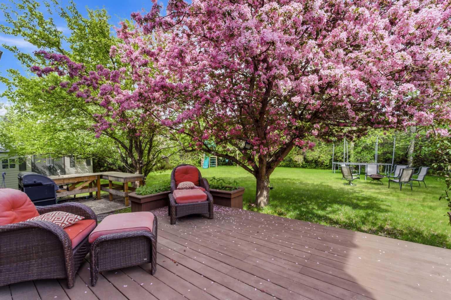 36 Varsity Estates Court NW