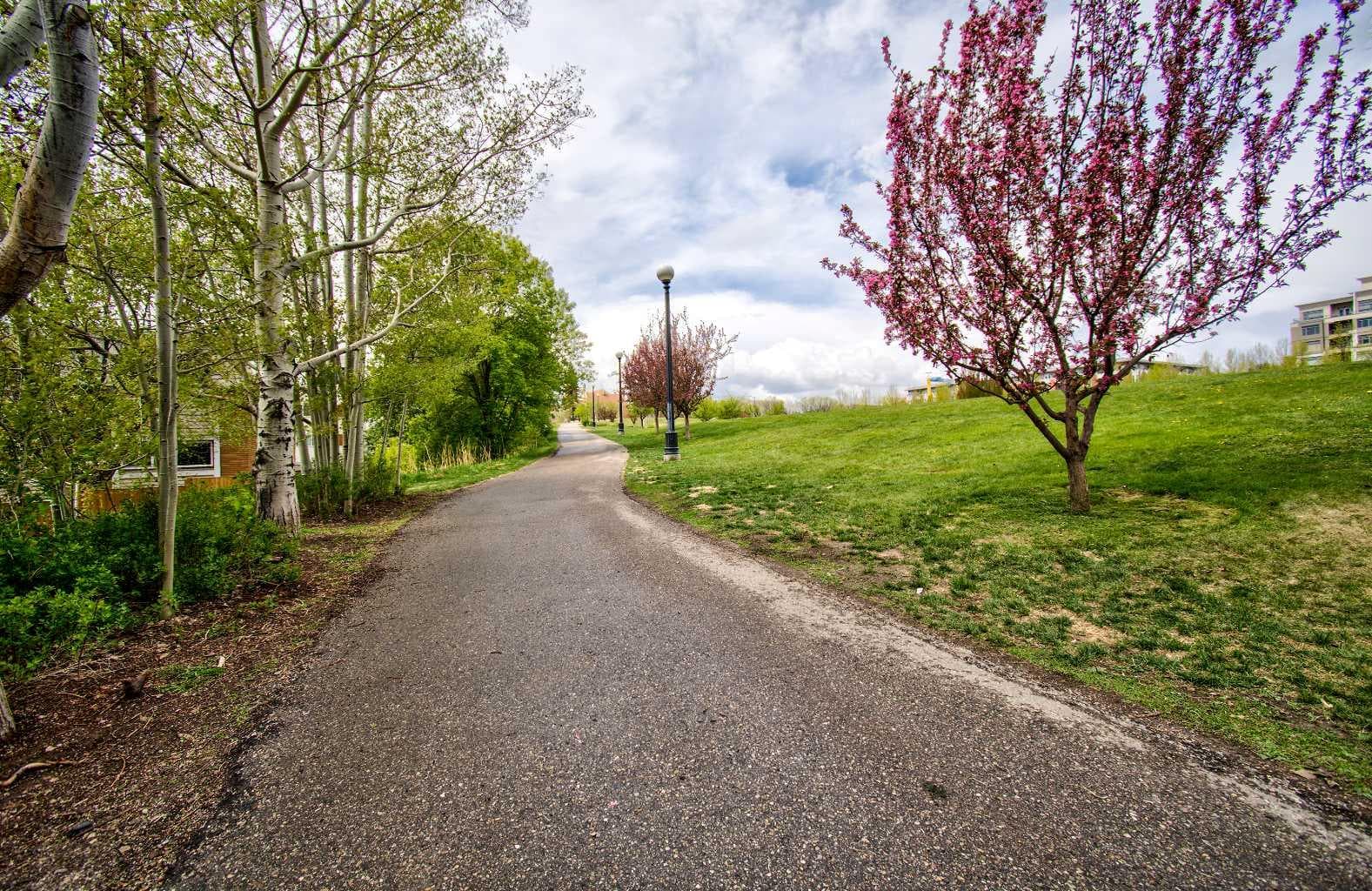 515, 955 McPherson Road NE