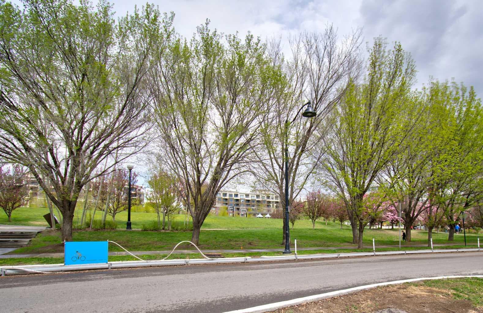 515, 955 McPherson Road NE