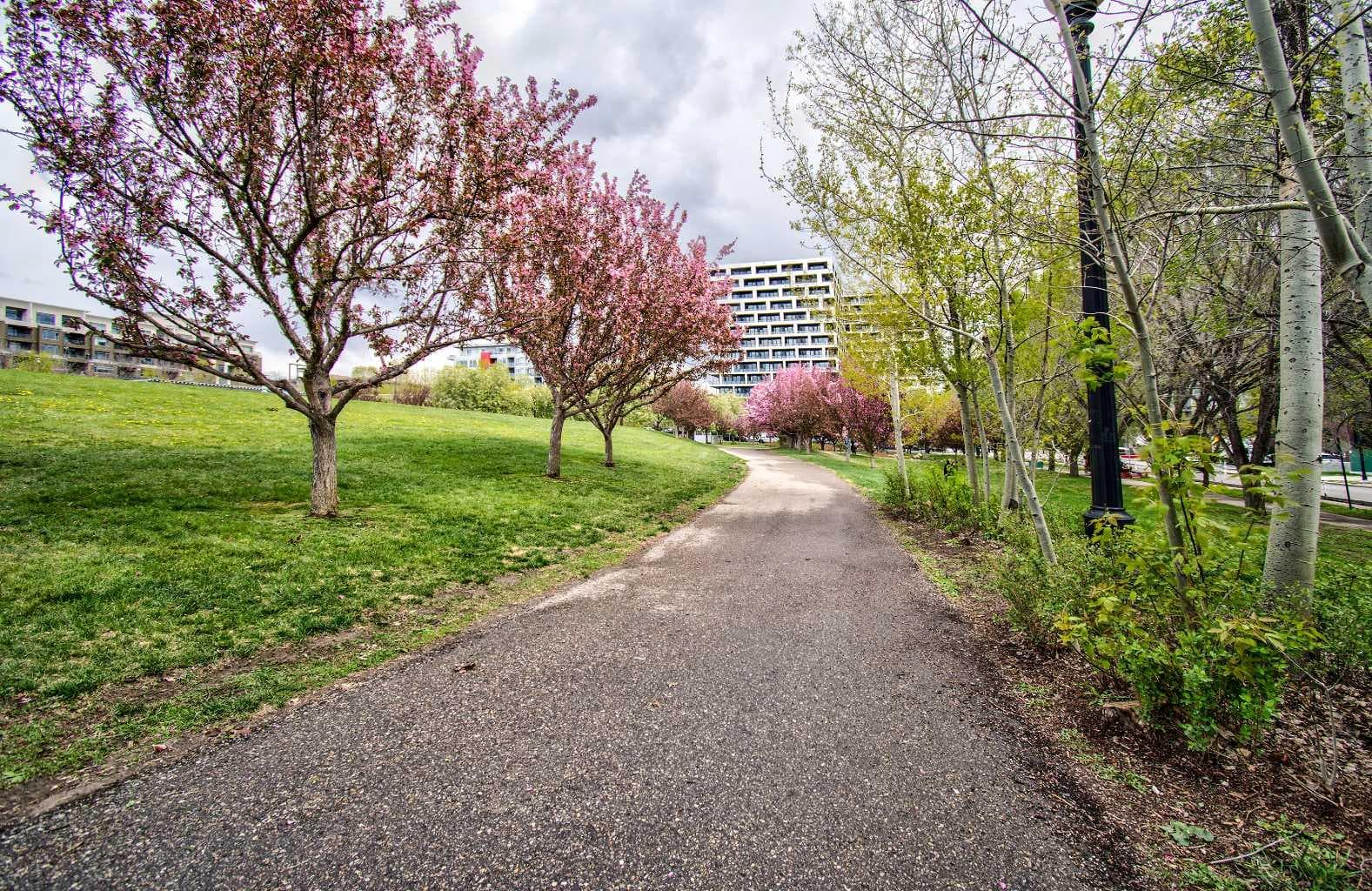 515, 955 McPherson Road NE