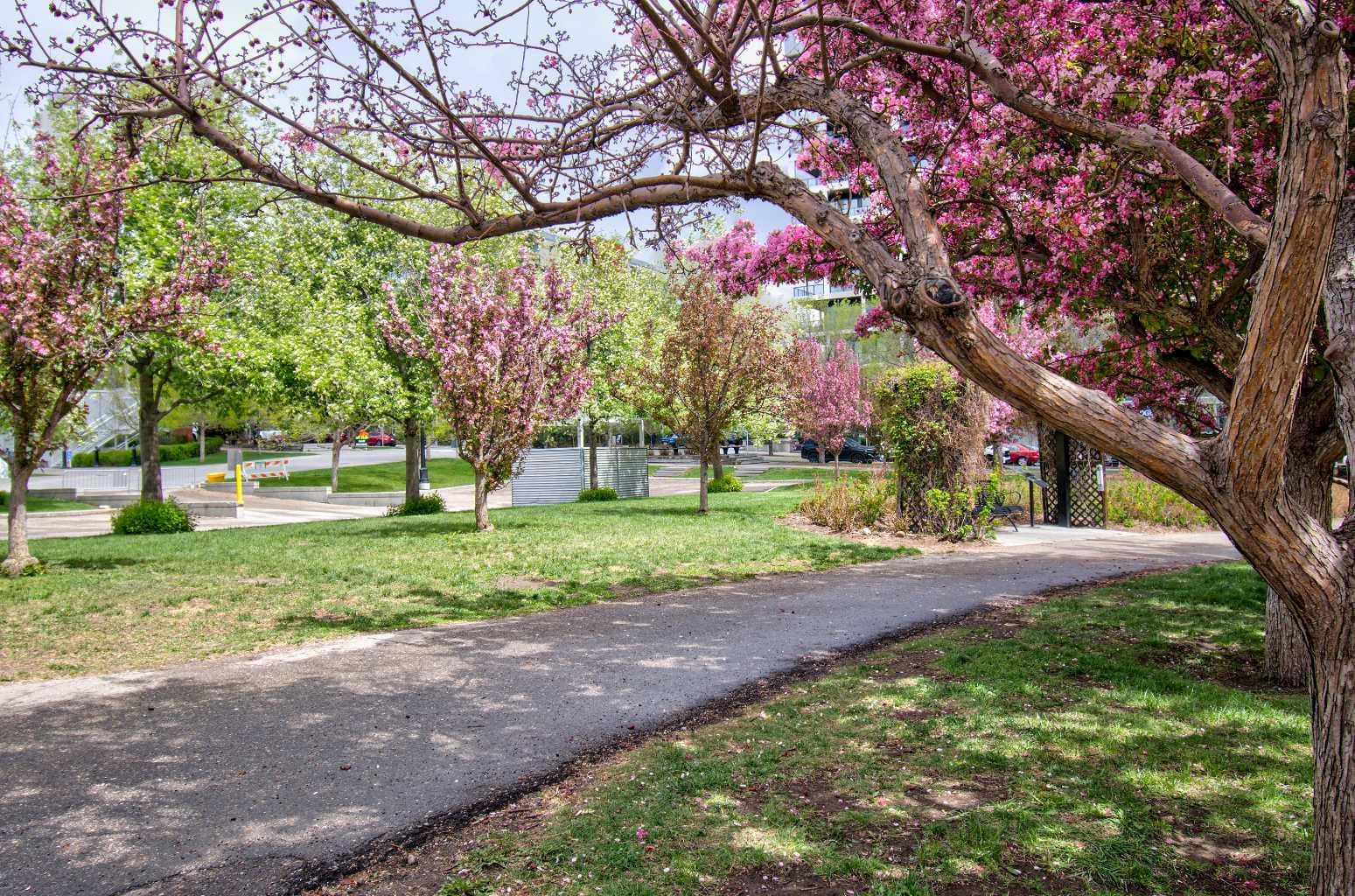515, 955 McPherson Road NE