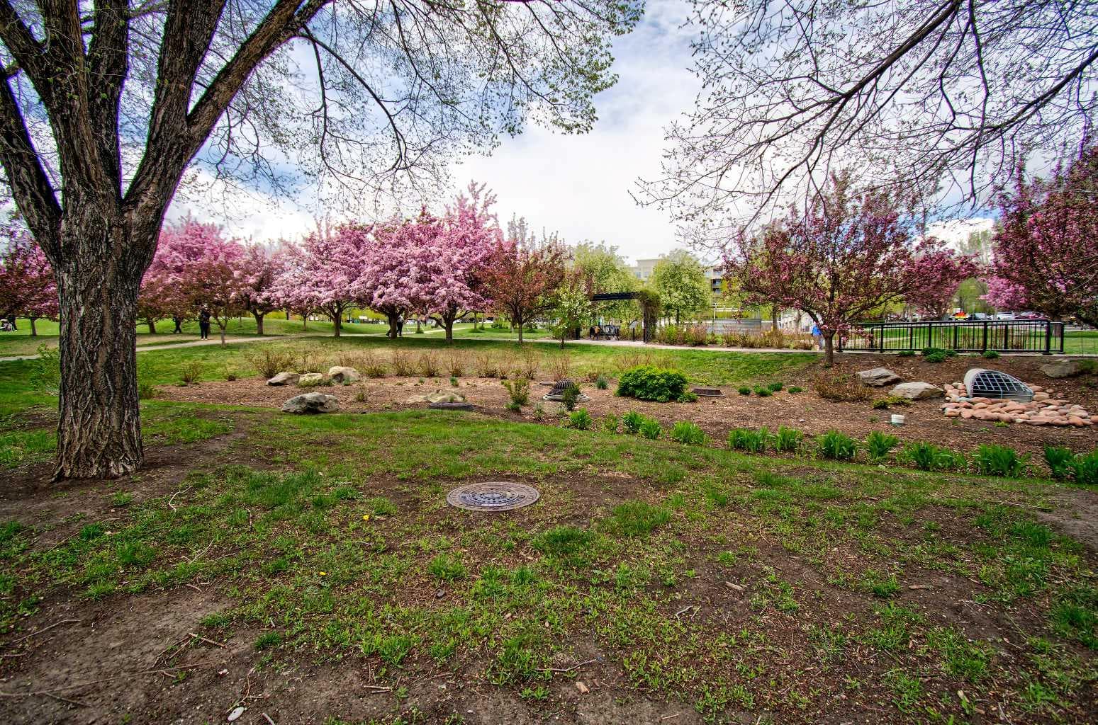 515, 955 McPherson Road NE