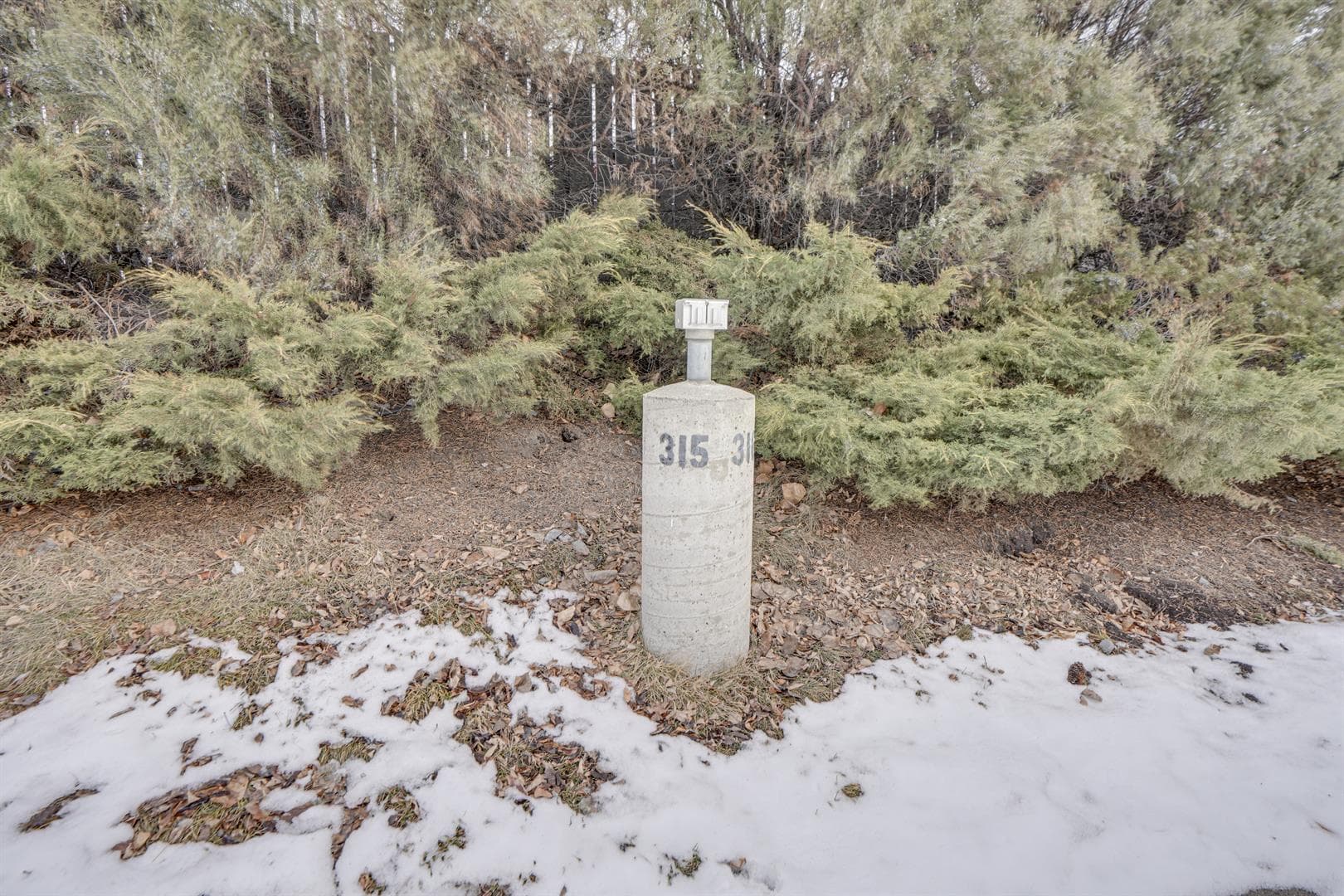 3101, 7030 Coach Hill Road SW