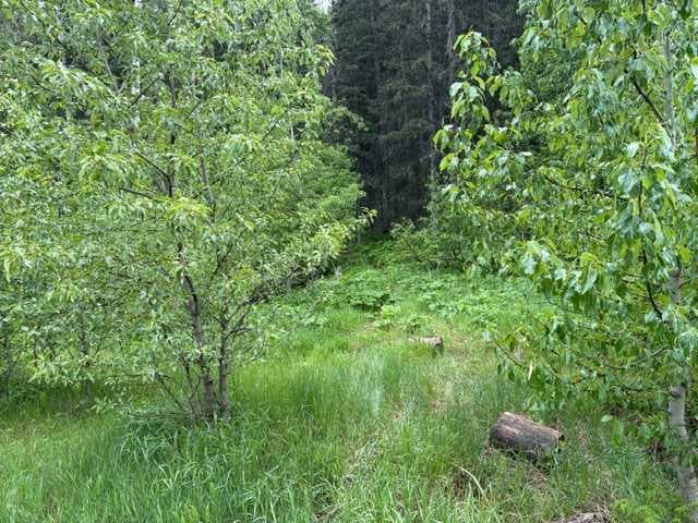 229 Mountain Lion Drive 