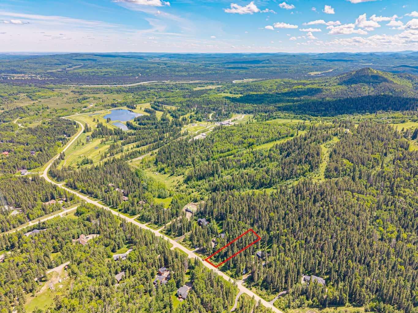 229 Mountain Lion Drive 