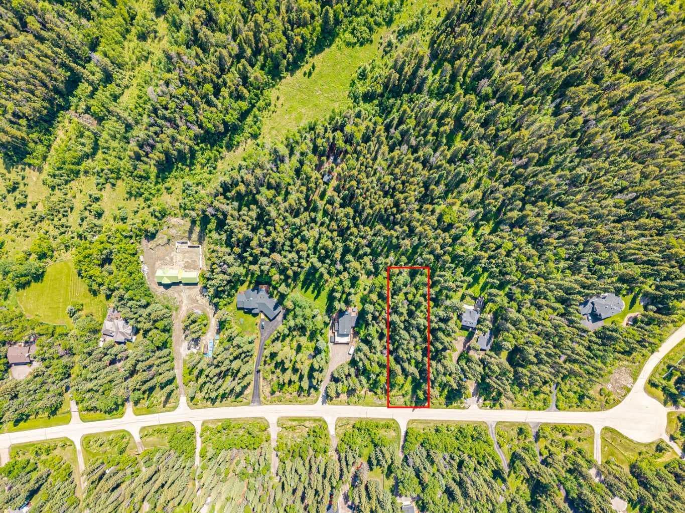 229 Mountain Lion Drive 