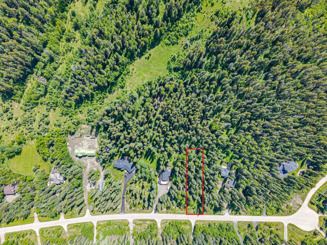 229 Mountain Lion Drive 