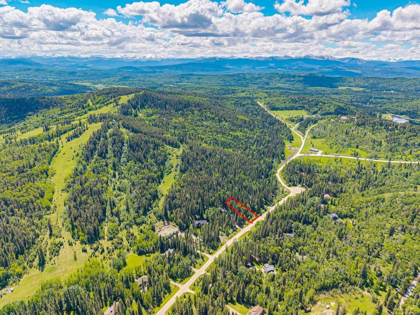 229 Mountain Lion Drive 