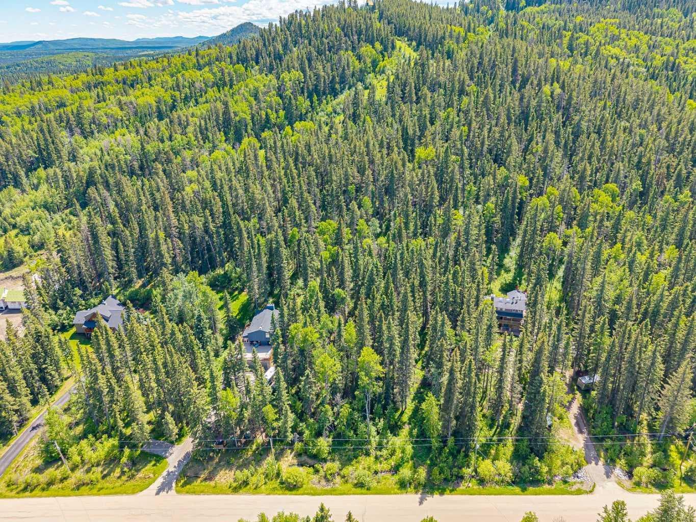 229 Mountain Lion Drive 