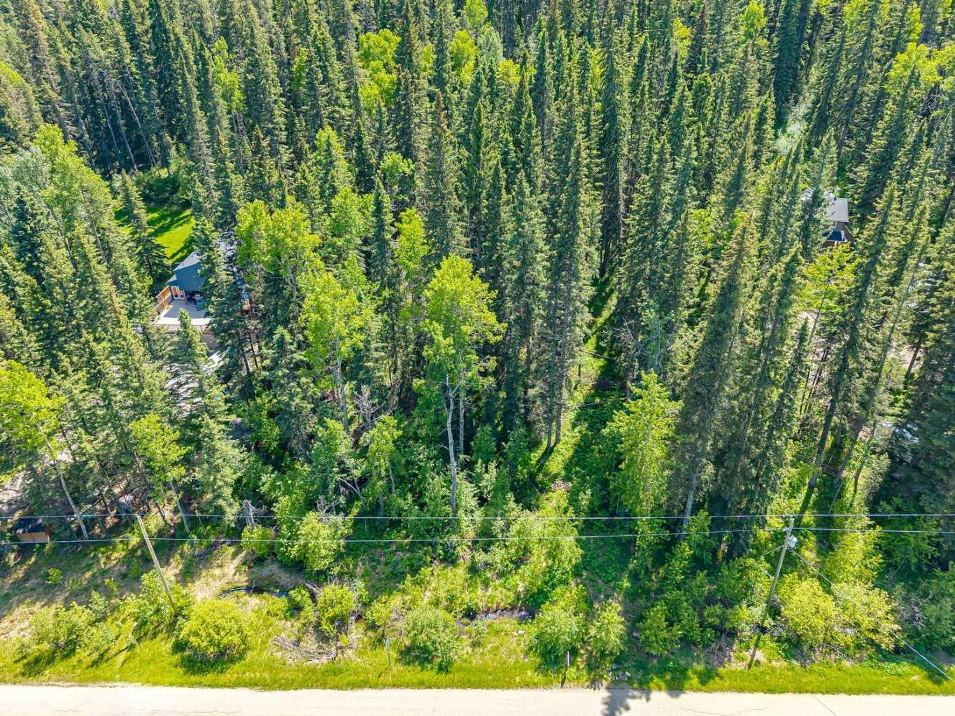 229 Mountain Lion Drive 