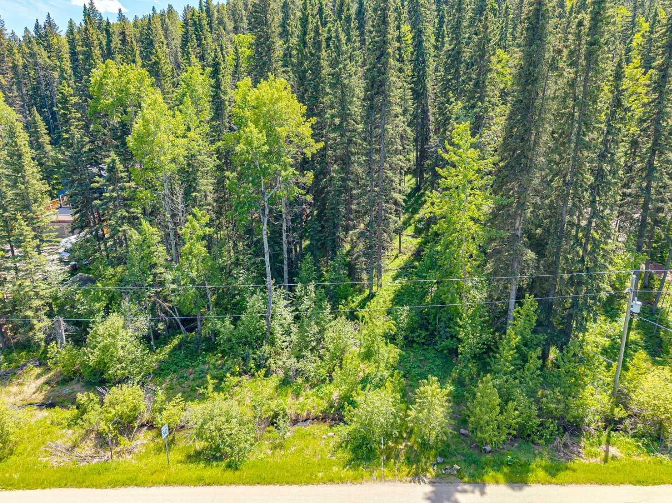 229 Mountain Lion Drive 