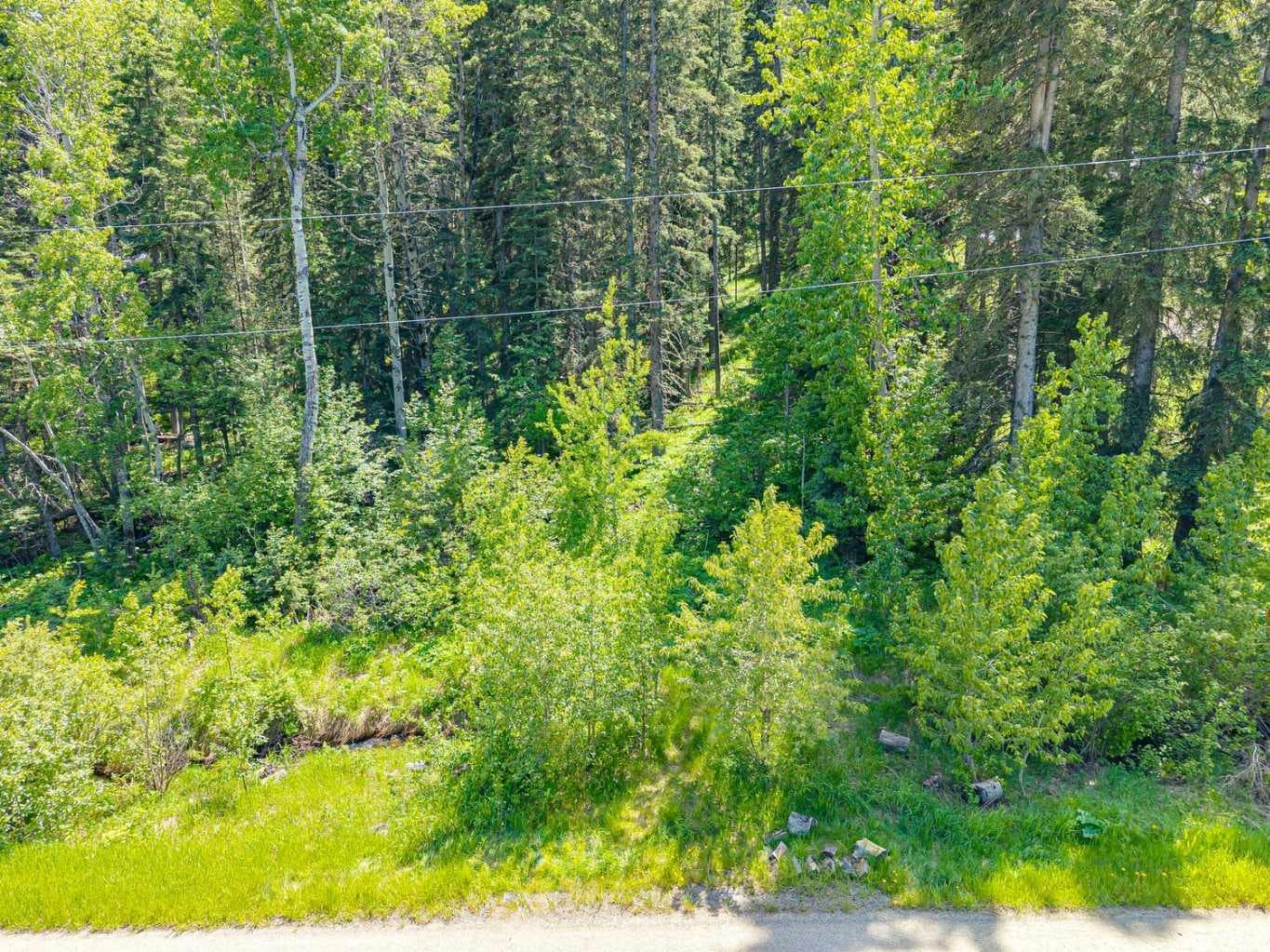 229 Mountain Lion Drive 
