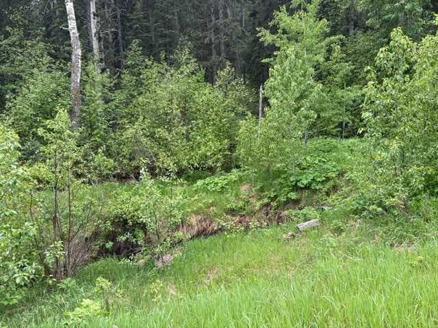 229 Mountain Lion Drive 