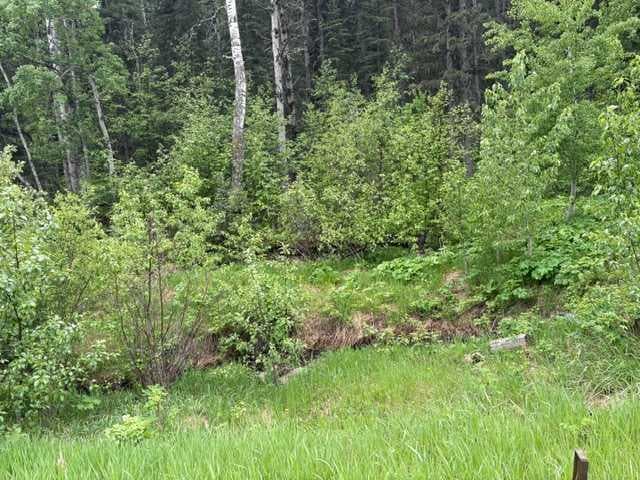 229 Mountain Lion Drive 