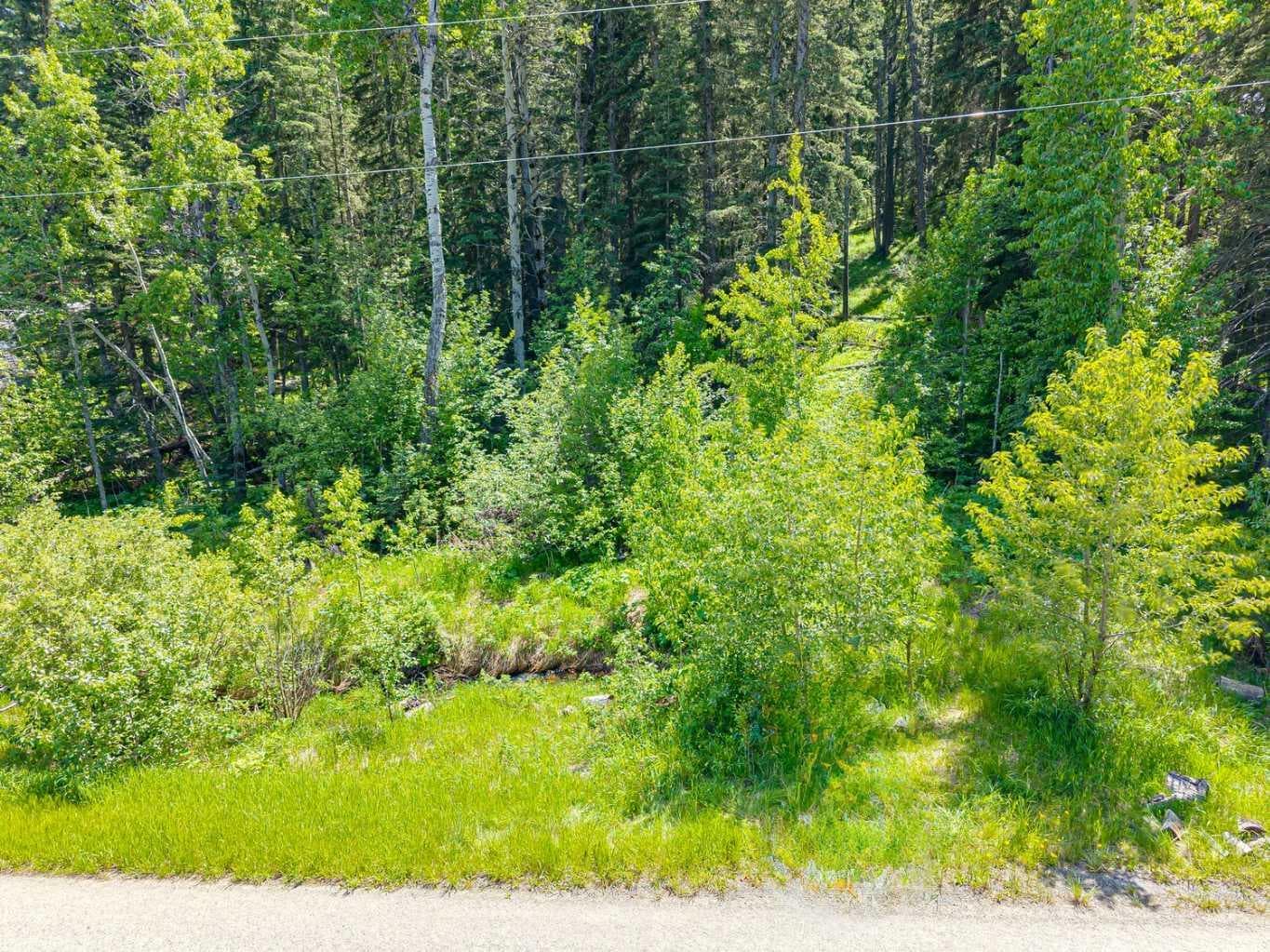 229 Mountain Lion Drive 