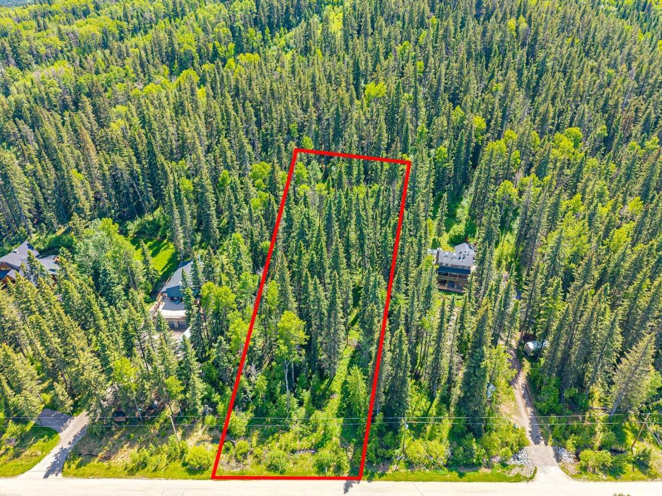 229 Mountain Lion Drive 
