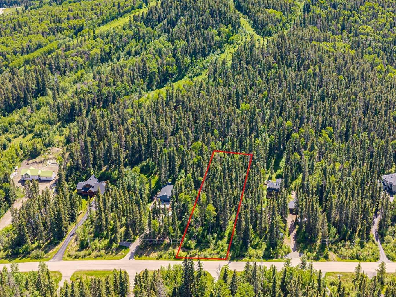 229 Mountain Lion Drive 