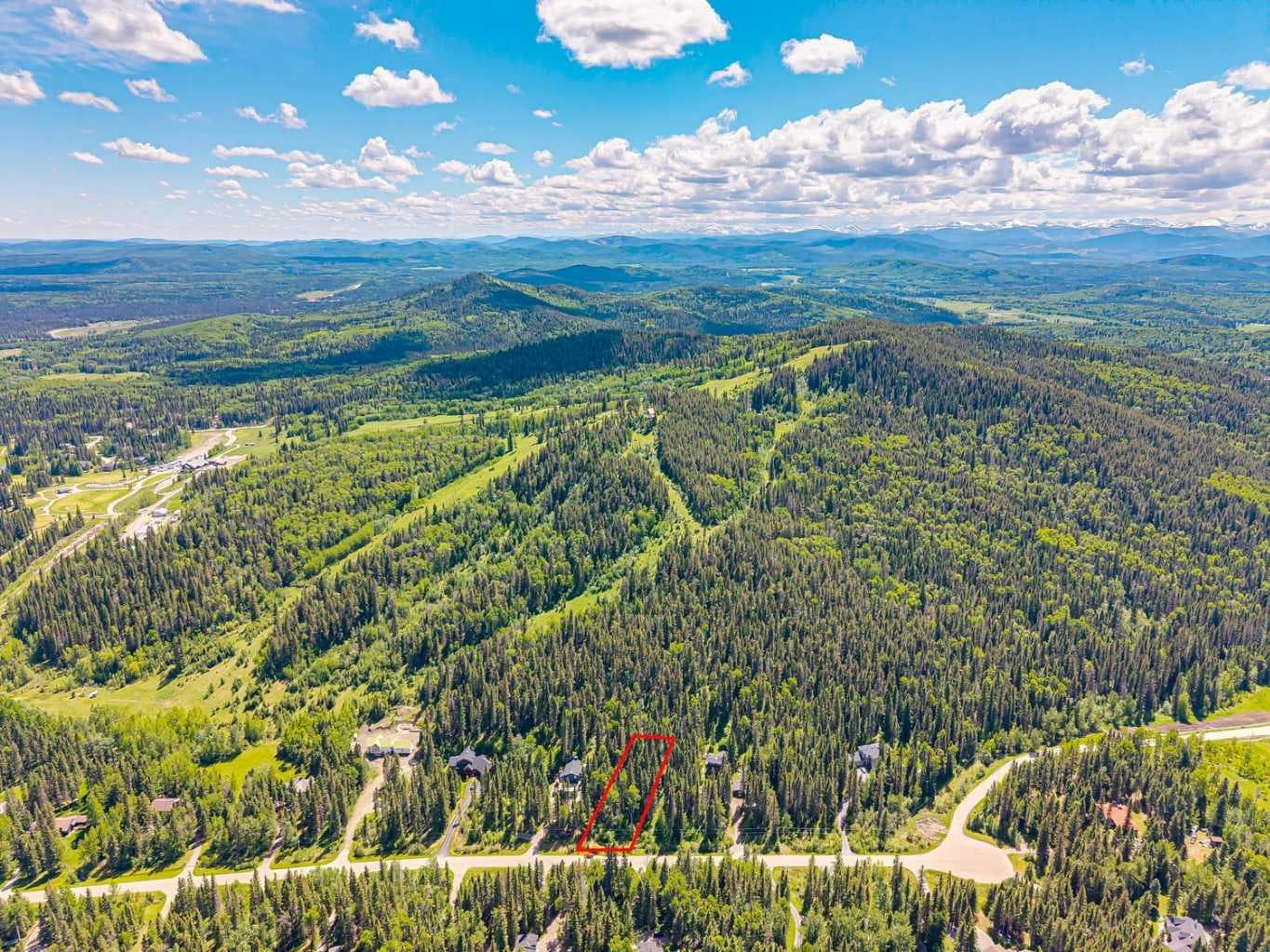 229 Mountain Lion Drive 