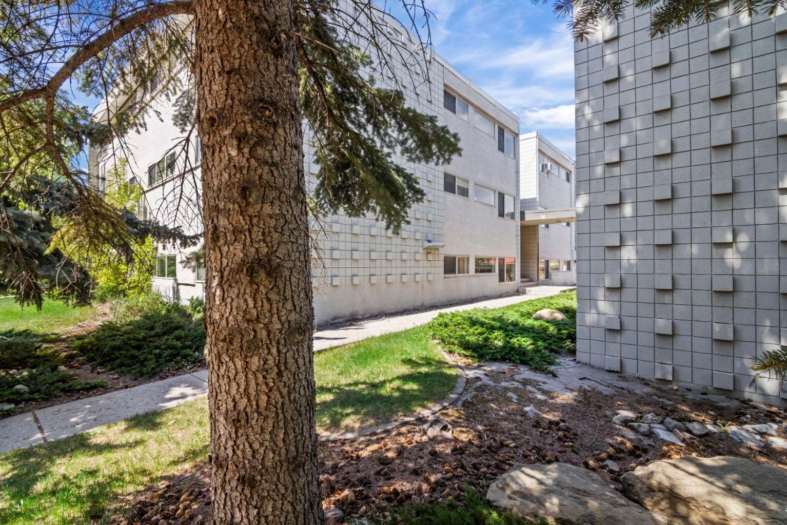 126, 56 Hamlet Road SW