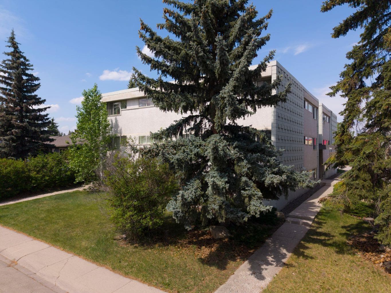 126, 56 Hamlet Road SW
