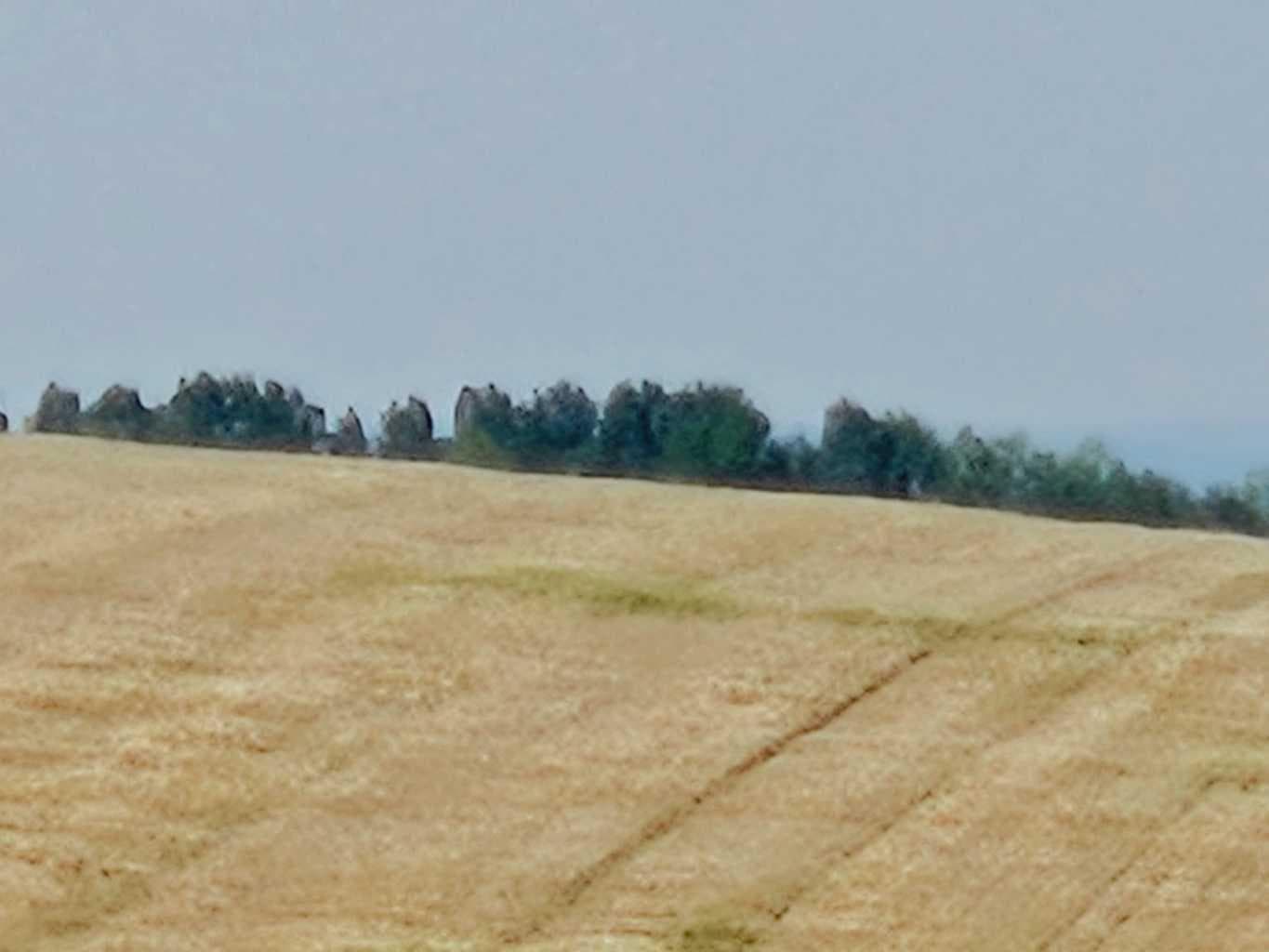  Symons Valley  